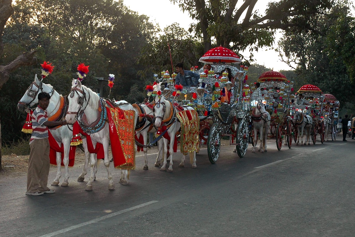 real-moments-DSC_0180-17